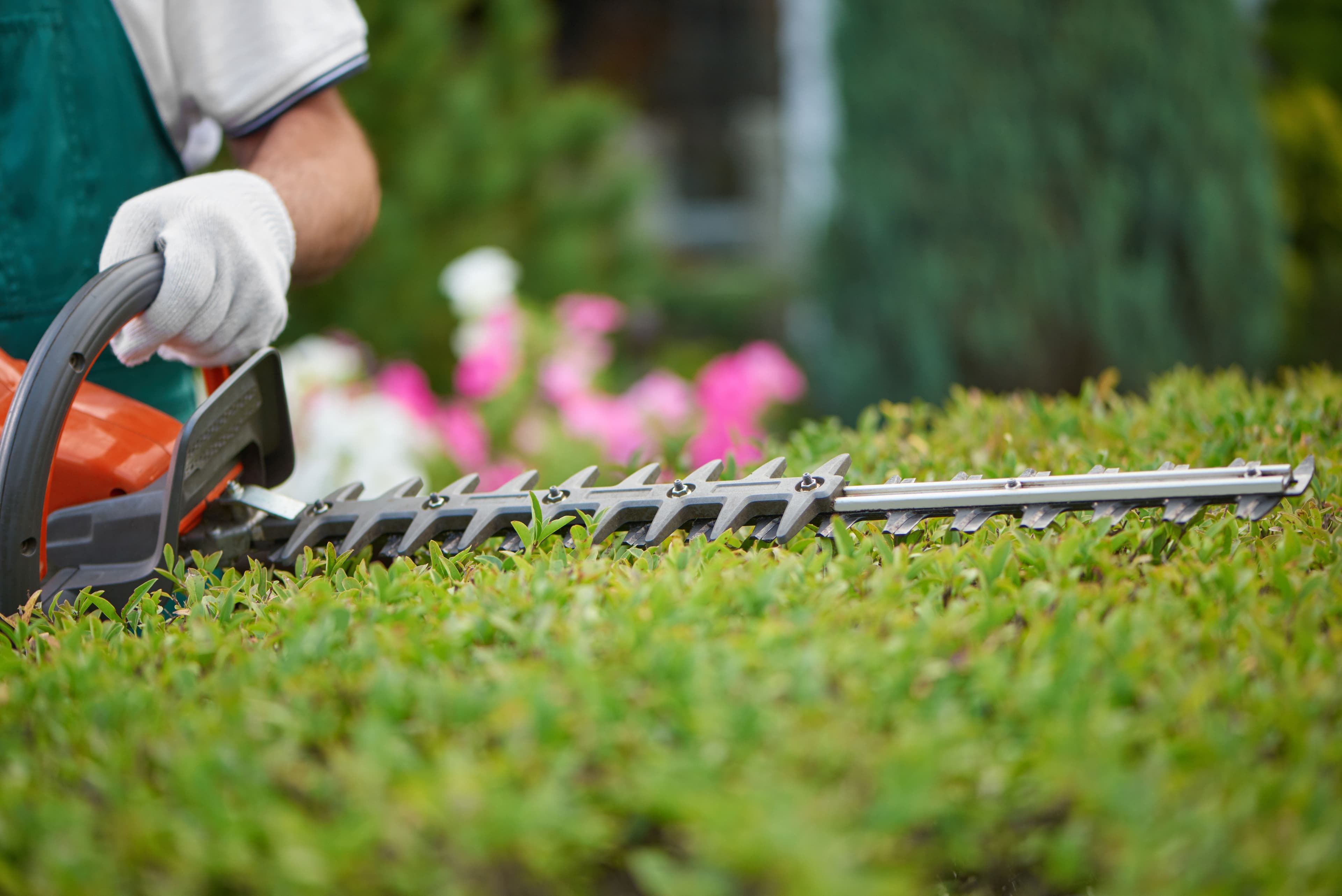Landscaping Services image