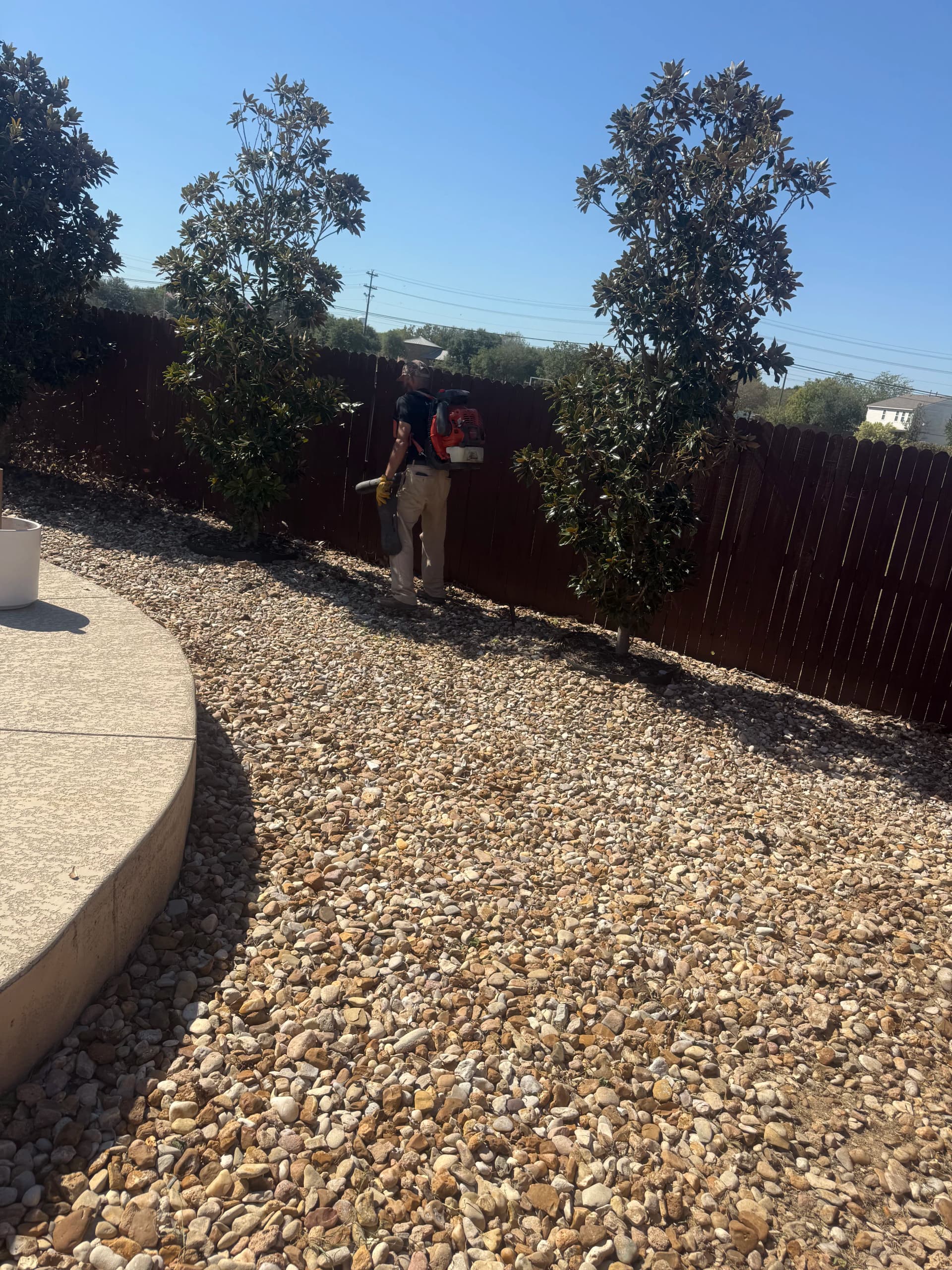 Weed Cleanup in Kyle Gets This Backyard Back on Track