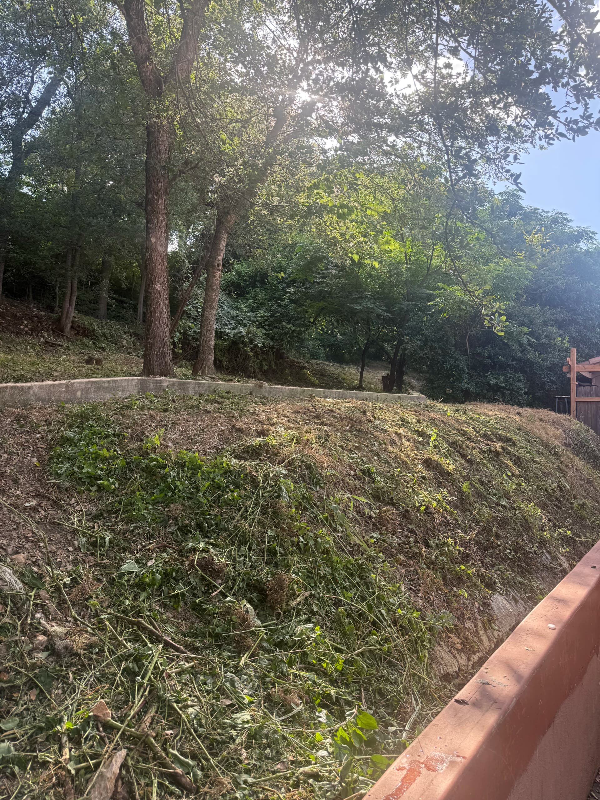 Gallery photos for Overgrown Lot Cleanup Gets Results in San Marcos: Image #7