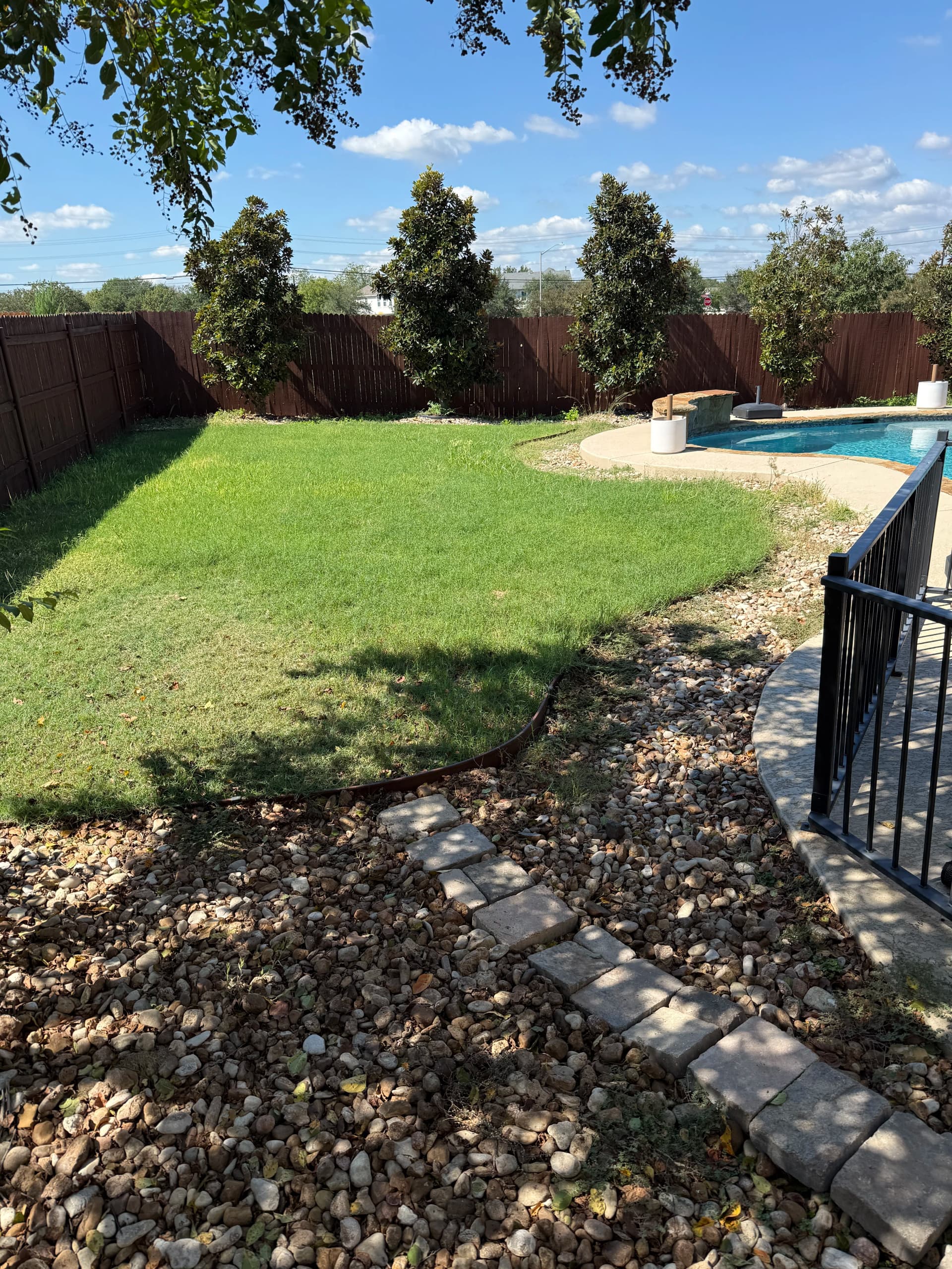 Weed Cleanup in Kyle Gets This Backyard Back on Track