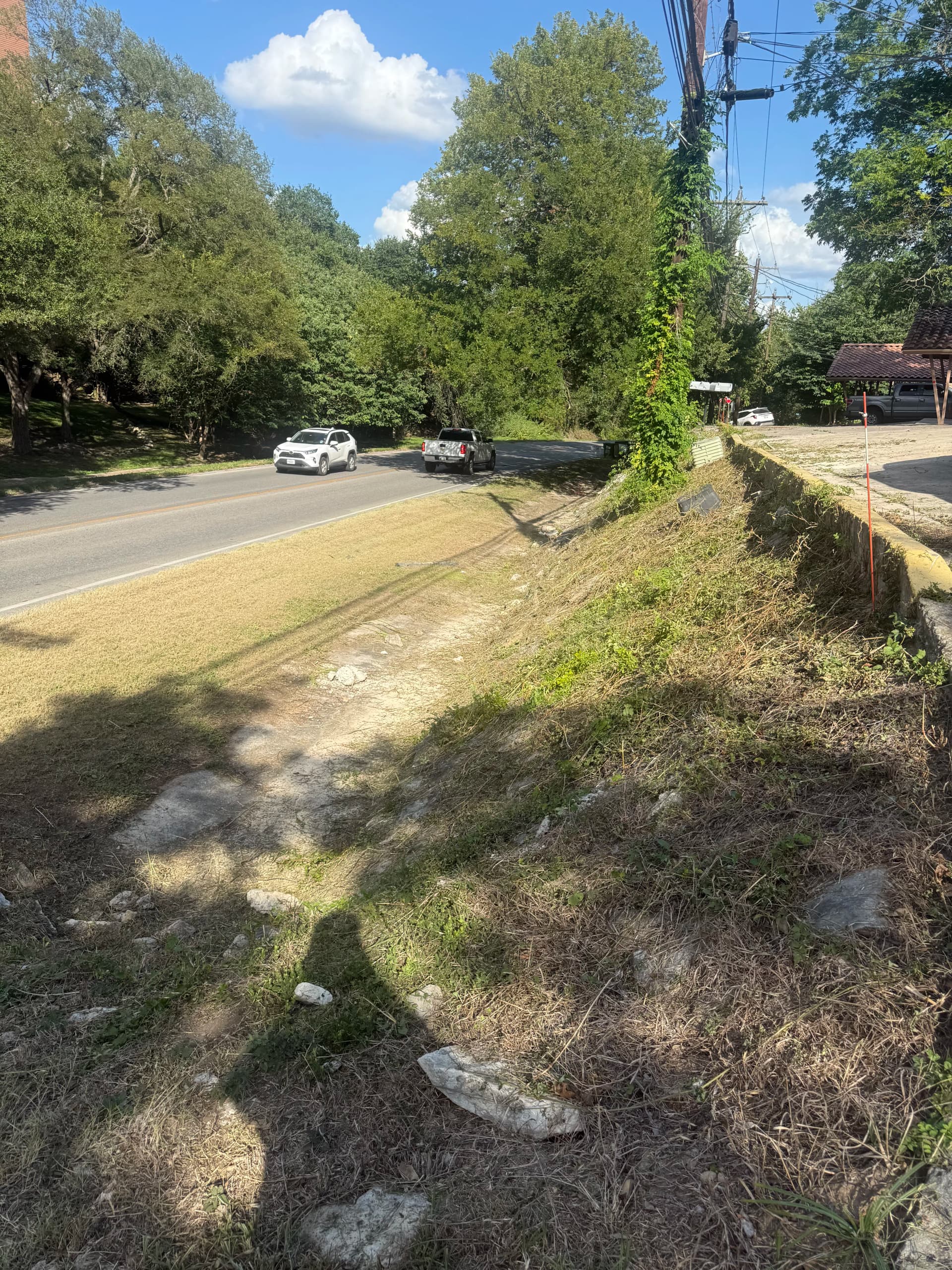 Gallery photos for Overgrown Lot Cleanup Gets Results in San Marcos: Image #6