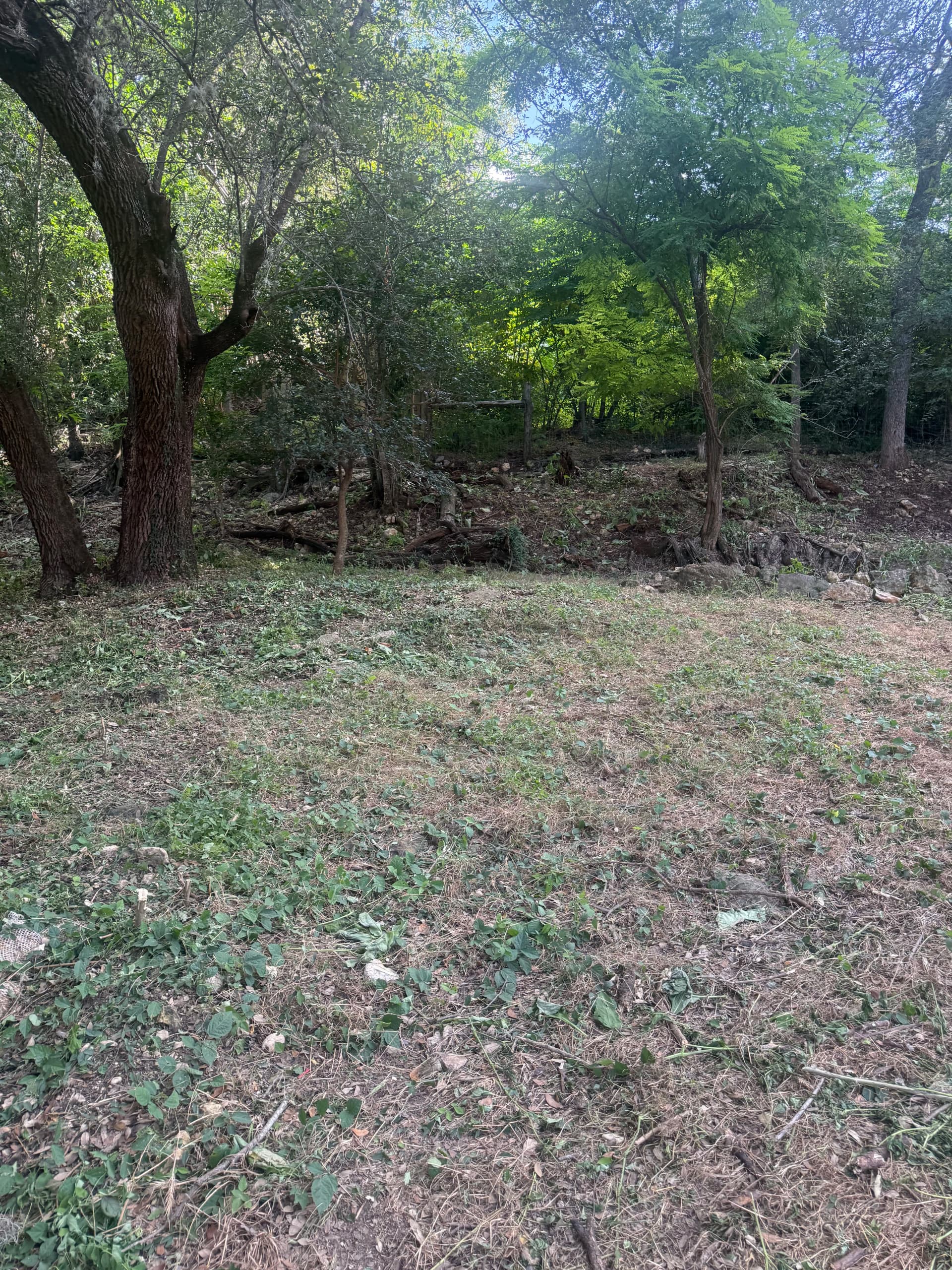 Gallery photos for Overgrown Lot Cleanup Gets Results in San Marcos: Image #9