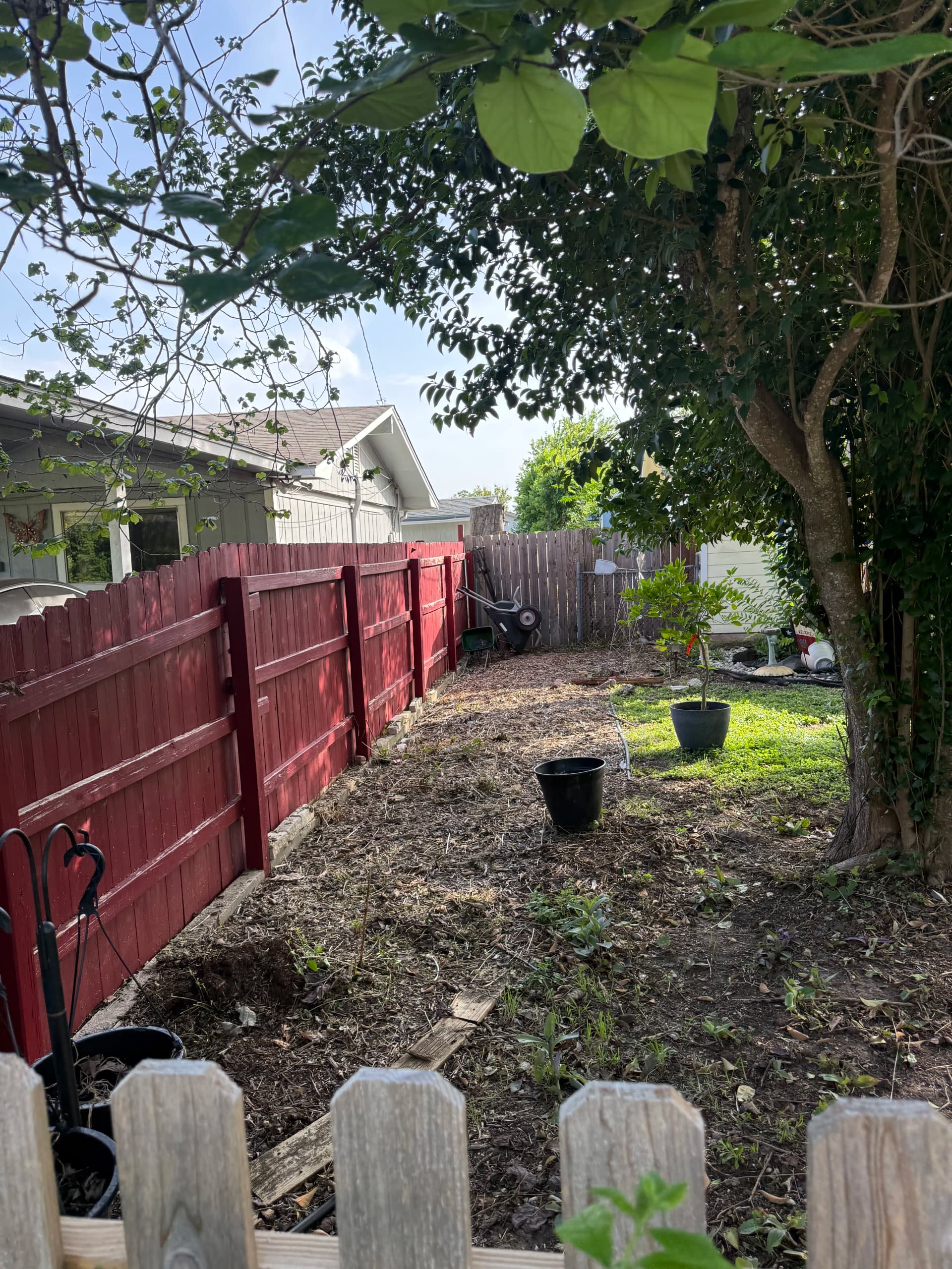 Gallery photos for New Braunfels Front Yard Gets Pavers Walkways and Fresh Landscaping: Image #7
