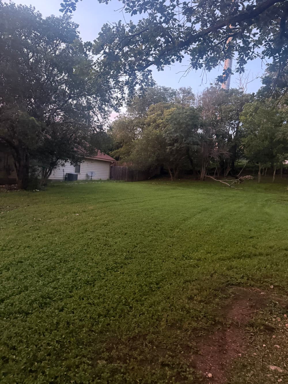 Lush green backyard with trees and a white shed under a clear sky.