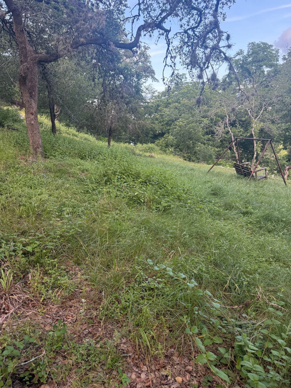 Lush green hillside with trees and a wooden swing set in a serene outdoor setting.