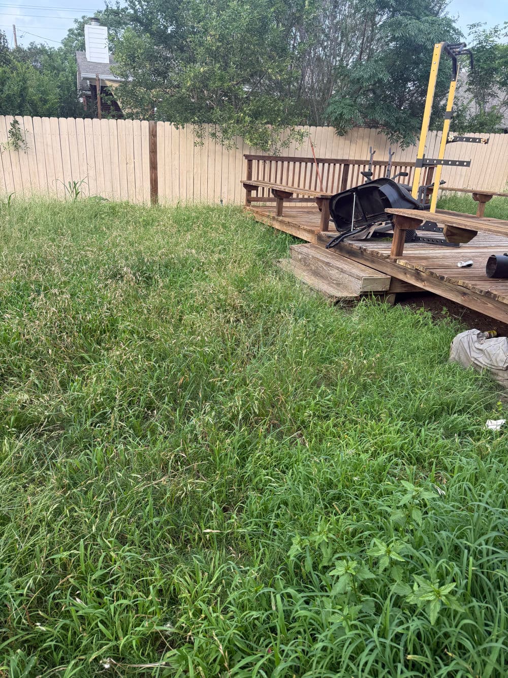 Overgrown backyard with wooden deck, scattered furniture, and tall grass.