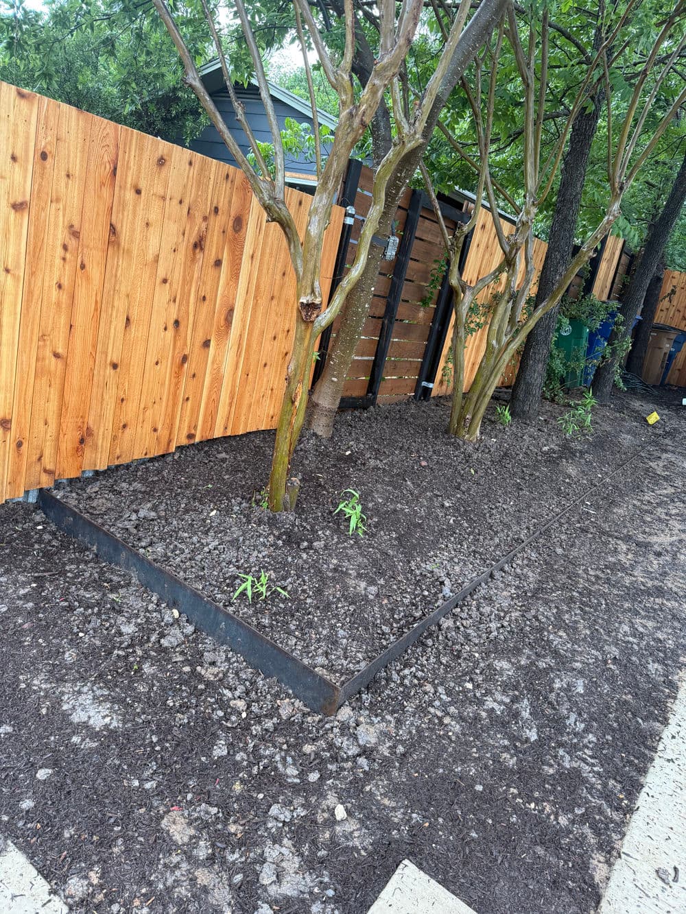 Newly landscaped garden area with fresh soil, trees, and wooden fence.