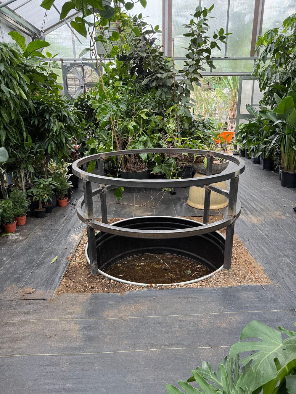 Indoor greenhouse featuring a circular pond surrounded by lush tropical plants.