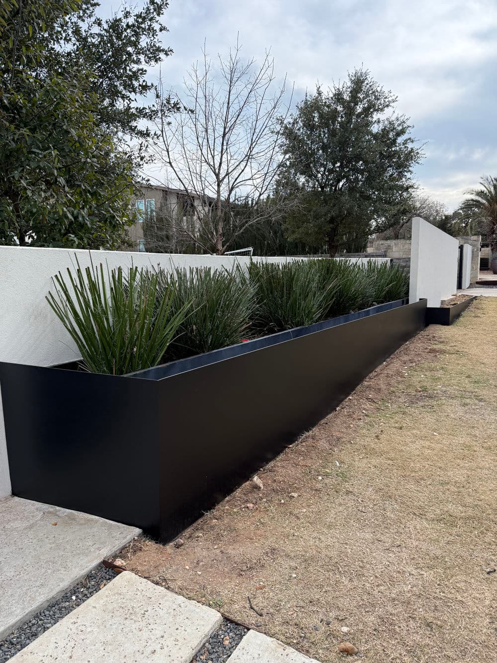Modern black planter with green foliage in a landscaped outdoor setting.