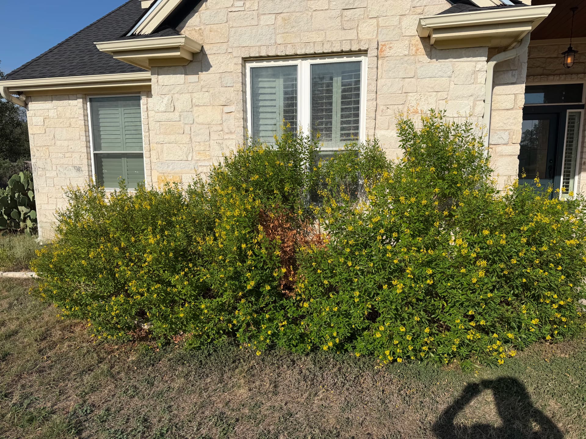 Gallery photos for Flower Bed Cleanup and Patio Planter Project in Buda Texas: Image #9